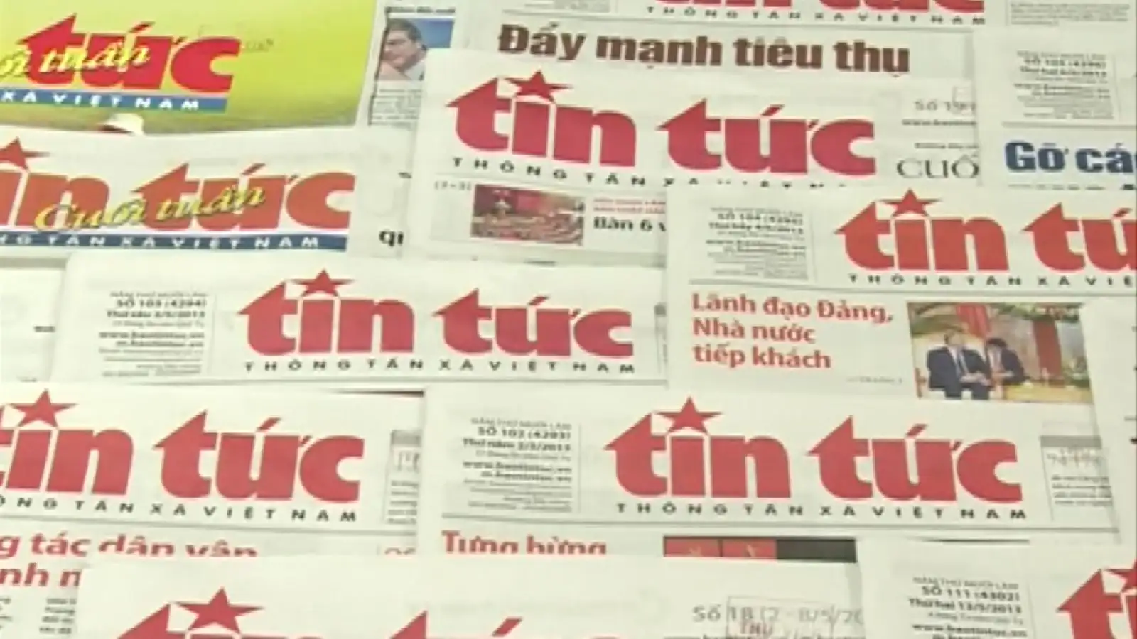 Khám phá vẻ đẹp tự nhiên cùng ceri thu hà tuyệt vời của bạn!